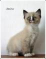 /album/amira/amira-9-hetes-002-jpg/